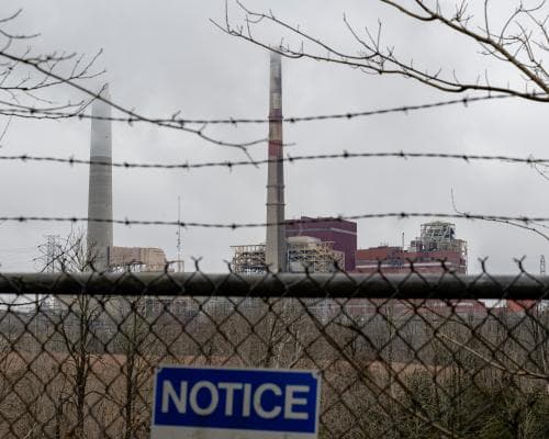 Thumbnail for Trump has done more than harm the government’s ability to fight global heating | Jamil Smith