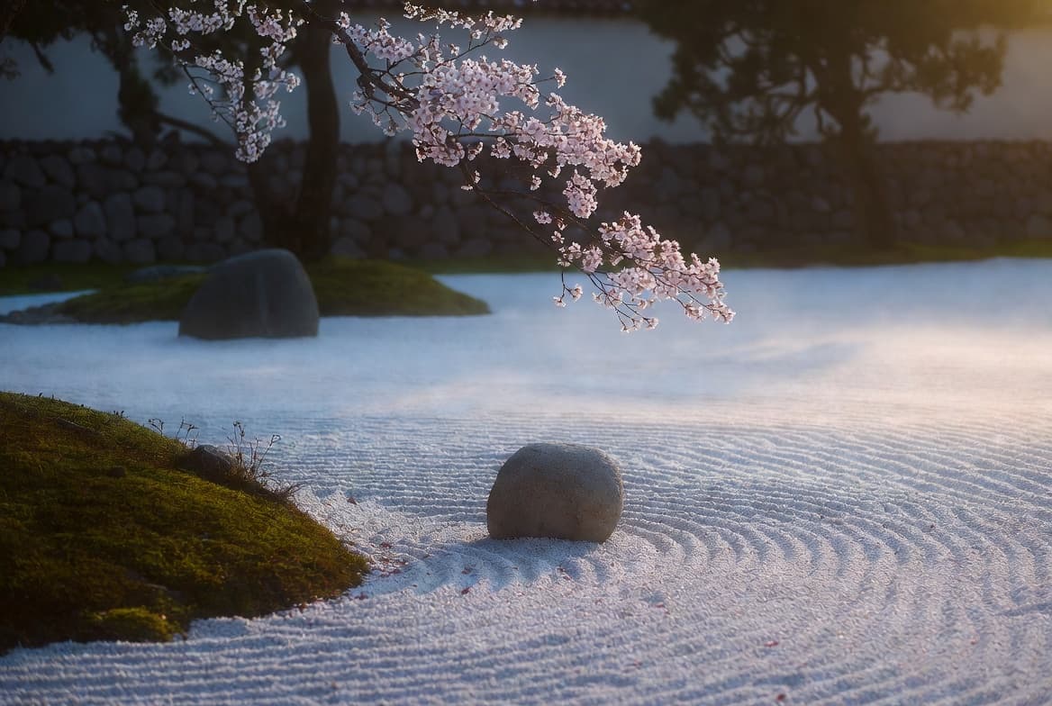 Daily Calm AI banner