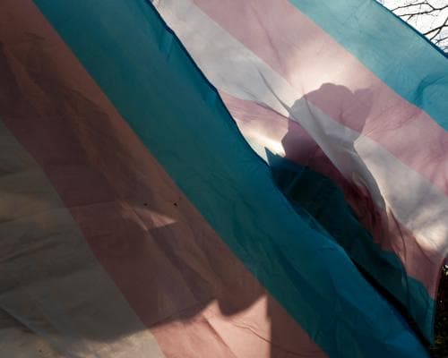 Thumbnail for The Trump administration is trying to legislate trans people out of existence | Judith Levine