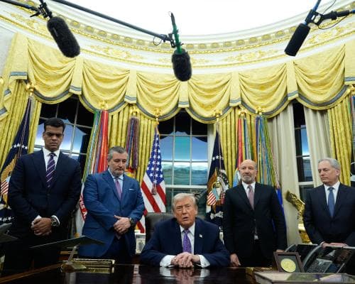 Thumbnail for Beware Trump’s two-pronged strategy undermining democracy | David Cole